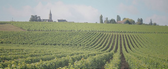 Domaine Frédéric Michot Pouilly Fumé